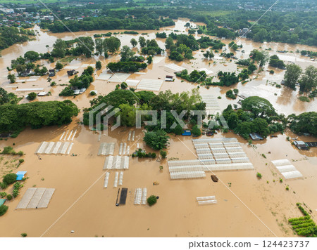 Flooding destroys roses and other flowers farm in Chiang Mai Thailand. Flooding destroys roses and other flowers farm in Chiang Mai Thailand. 124423737