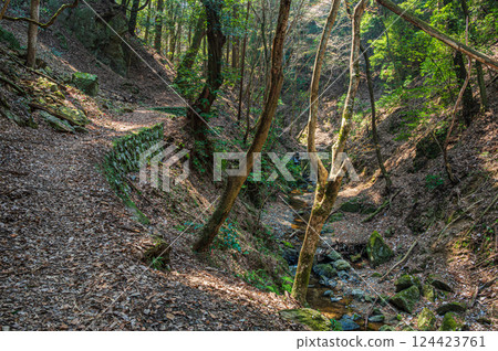 Hiking trails in Uji: Momiji Valley, Tokai Nature Trail, Uji City, Kyoto Prefecture Hiking trails in Uji: Momiji Valley, Tokai Nature Trail, Uji City, Kyoto Prefecture 124423761
