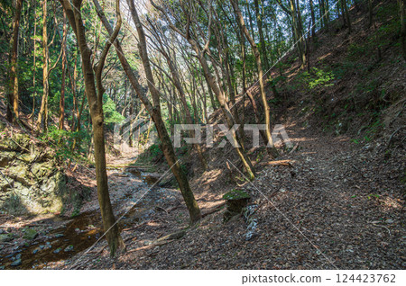 Hiking trails in Uji: Momiji Valley, Tokai Nature Trail, Uji City, Kyoto Prefecture 124423762
