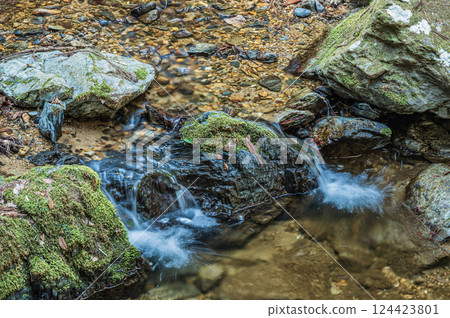 Hiking trails in Uji: Momiji Valley, Tokai Nature Trail, Uji City, Kyoto Prefecture 124423801