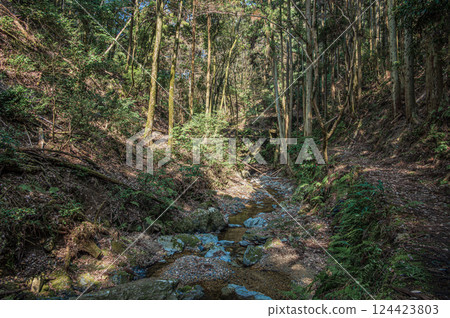 宇治的健行路線：京都府宇治市紅葉溪、東海自然步道 124423803