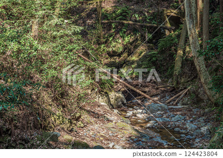 宇治的健行路線:京都府宇治市紅葉溪、東海自然步道 宇治的健行路線:京都府宇治市紅葉溪、東海自然步道 124423804