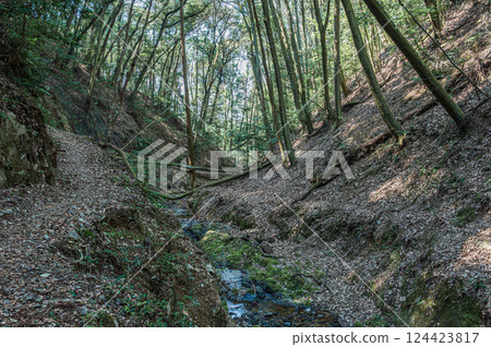 Hiking trails in Uji: Momiji Valley, Tokai Nature Trail, Uji City, Kyoto Prefecture 124423817