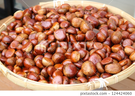 Lots of chestnuts, chestnut rice, chestnut rice, chestnuts, autumn Lots of chestnuts, chestnut rice, chestnut rice, chestnuts, autumn 124424060