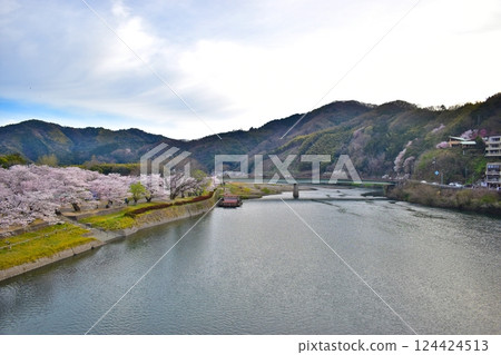 Cherry blossoms, Sakura, Kintai Bridge, Yamaguchi Cherry blossoms, Sakura, Kintai Bridge, Yamaguchi 124424513