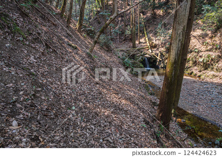 京都府宇治市紅葉溪 宇治山溪 124424623