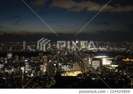 Night view of downtown Tokyo from Roppongi Hills Mori Tower 124424809