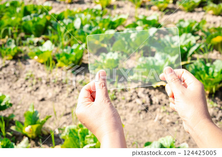 Female hands in green vegetable farm and working on virtual screen. Touch Screen of hi-tech. Scientist with smartphone of future in hands. Smart farming agriculture concept. 124425005