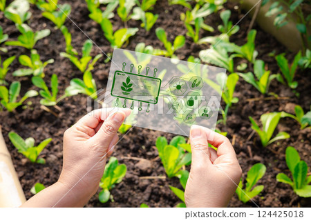 Agriculture technology farmer woman analysis data. Vegetable plant seedlings in cultivated agricultural field. Modern agricultural technology, digital farm, smart farming innovation, IOT Agriculture technology farmer woman analysis data. Vegetable plant seedlings in cultivated agricultural field. Modern agricultural technology, digital farm, smart farming innovation, IOT 124425018