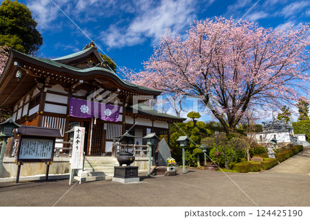 Angyohara, Kawaguchi City, Saitama Prefecture, Kaijusan Manpukuji Temple Mitsuzoin, Angyo Sakura and Fudo Hall 124425190