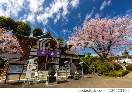 埼玉縣川口市安行原、海鳩山萬福寺三藏院、安行櫻及不動堂 埼玉縣川口市安行原、海鳩山萬福寺三藏院、安行櫻及不動堂 124425194