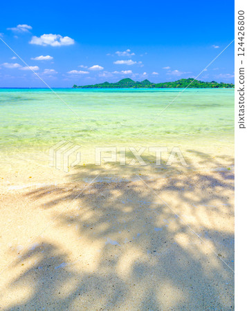 沖繩縣石垣島，從樹蔭下望去的藍色海洋和白色沙灘 124426800