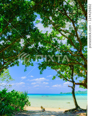 Blue ocean and white sand beach seen from the shade of a tree, Ishigaki Island, Okinawa Prefecture Blue ocean and white sand beach seen from the shade of a tree, Ishigaki Island, Okinawa Prefecture 124426802