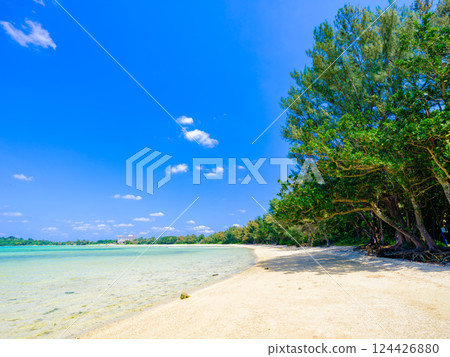 陽光明媚的日子，藍色的大海和白色的沙灘，沖繩縣石垣島 124426880