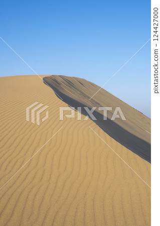 Wind pattern (Tottori dune) Wind pattern (Tottori dune) 124427000