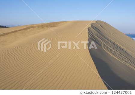 風模式(鳥取沙丘) 風模式(鳥取沙丘) 124427001