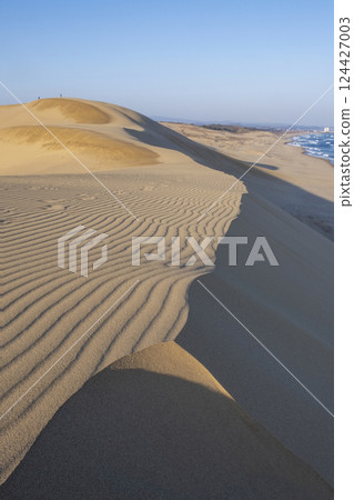 Wind pattern (Tottori dune) Wind pattern (Tottori dune) 124427003