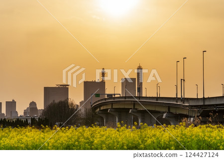 "Saitama Prefecture" Saitama New Urban Center and sunset scenery Saitama City 124427124