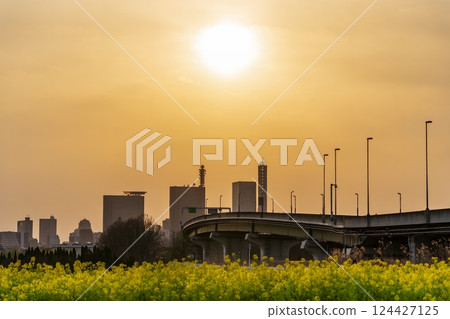 "Saitama Prefecture" Saitama New Urban Center and sunset scenery Saitama City "Saitama Prefecture" Saitama New Urban Center and sunset scenery Saitama City 124427125