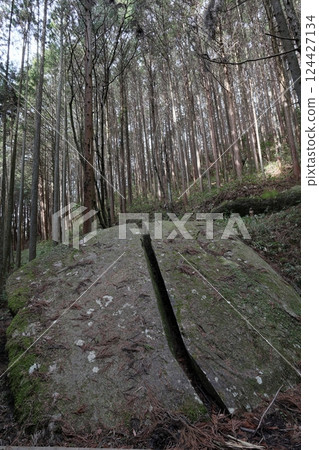 A single stone A single stone 124427134