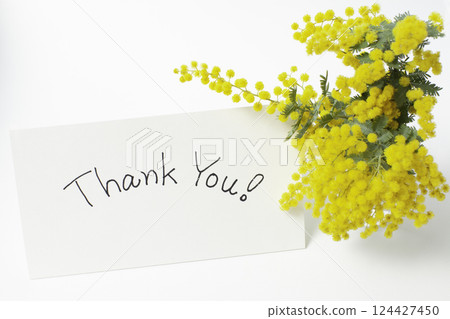 含羞草花和留言卡 含羞草花和留言卡 124427450