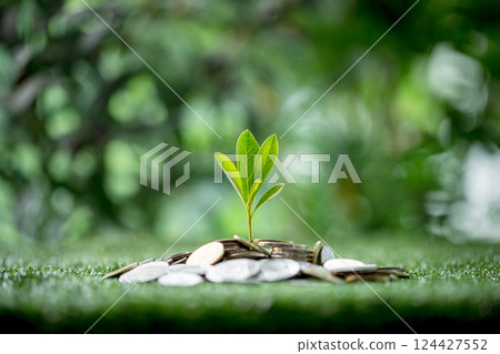 Concept of green finance encourages businesses to grow by investing money wisely, symbolized by coin planted to represent growth and saving for sustainable future. coin, finance, growth, investment. 124427552