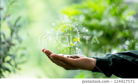 Concept of nurturing financial growth planting tree. Depositing money into green bank account supports eco-friendly initiatives, benefiting environment. money, deposit, green, tree, coin, growth. 124427571