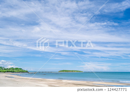 青島青島 124427771