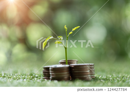 Concept of green finance flourishing businesses invest money and coins into sustainable ventures, nurturing growth of nature-friendly projects and ensuring prosperous future. green finance growth. 124427784