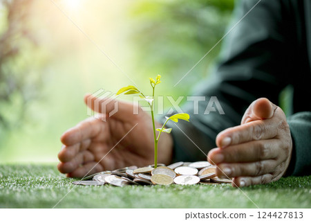 Concept of green finance flourishing businesses invest money and coins into sustainable ventures, nurturing growth of nature-friendly projects and ensuring prosperous future. green finance growth. 124427813