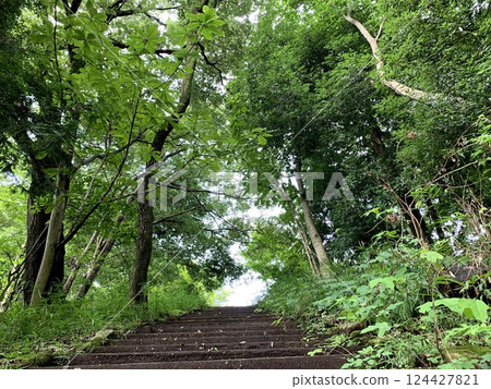 Green staircase 124427821