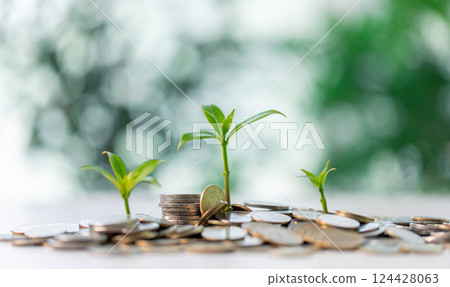 Concept of green tax into account environmental benefits of planting trees, balance economic growth with ecological health, thereby enhancing both income and wealth within a sustainable economy. 124428063