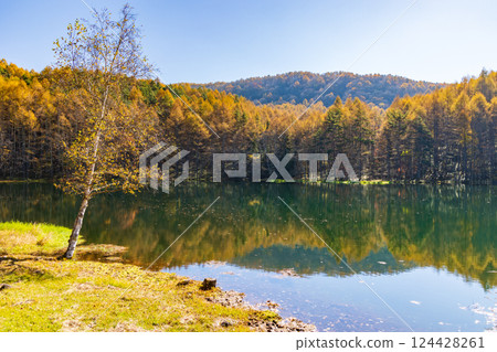 Autumn in Chino, Nagano Prefecture - Mishaka Pond with autumn leaves Autumn in Chino, Nagano Prefecture - Mishaka Pond with autumn leaves 124428261