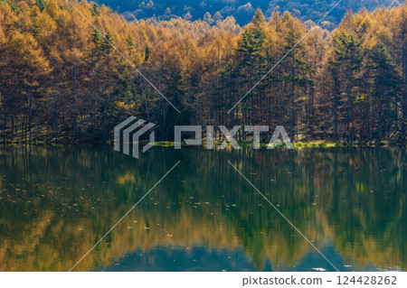 Autumn in Chino, Nagano Prefecture - Mishaka Pond with autumn leaves Autumn in Chino, Nagano Prefecture - Mishaka Pond with autumn leaves 124428262