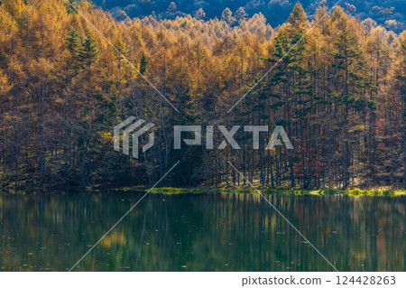 Autumn in Chino, Nagano Prefecture - Mishaka Pond with autumn leaves Autumn in Chino, Nagano Prefecture - Mishaka Pond with autumn leaves 124428263
