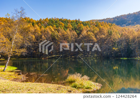 Autumn in Chino, Nagano Prefecture - Mishaka Pond with autumn leaves 124428264