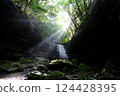 I found a small waterfall in the forest as the morning sun shone through. 124428395