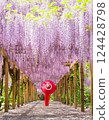  Wisteria flowers 124428798