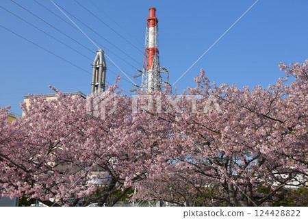 納古比火力發電廠的櫻花 124428822