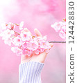 Cherry Blossoms	 124428830