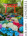Hydrangea and shrine 124428831