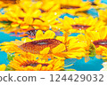 sunflower	 124429032