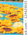sunflower	 124429035