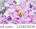 Hydrangea and Snail 124429036