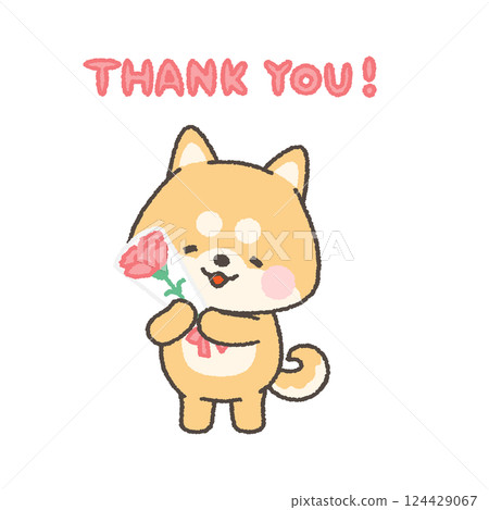 Smiling Shiba Inu holding a carnation Smiling Shiba Inu holding a carnation 124429067