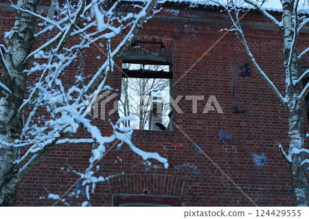 The beauty of snowcovered ruins intertwined with tree branches during the winter season The beauty of snowcovered ruins intertwined with tree branches during the winter season 124429555