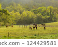 站在草原上的馬 124429581