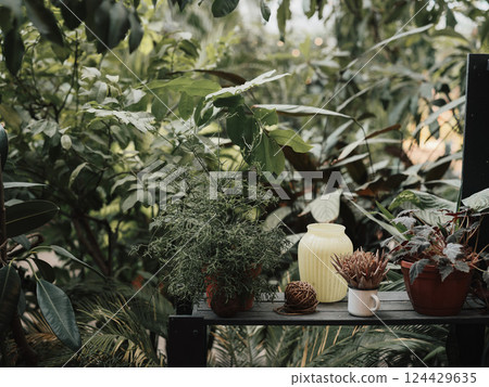 A beautiful display of lush greenery featuring potted plants and various decorative items 124429635