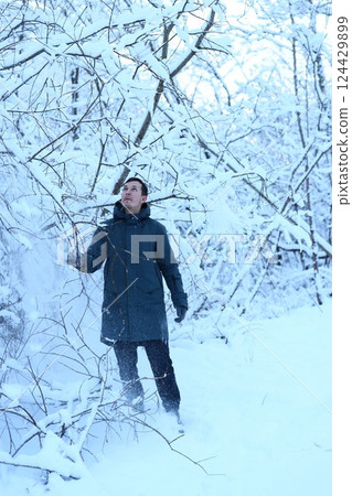 A solitary person stands in a serene snowy forest, surrounded by tall trees in winter 124429899