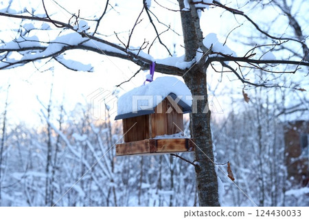 A Beautiful and Charming Snowy Birdhouse Set in a Winter Landscape Scenery of Nature 124430033